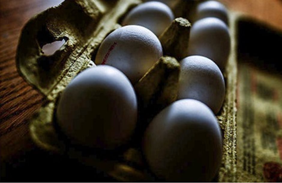 Αντιπαράθεση Βρυξελλών - Χάγης για το σκάνδαλο αυγών